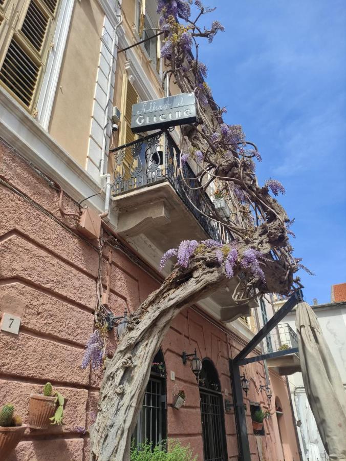 Glicine Noli